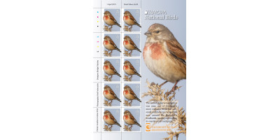 Sheet of 10 (65p Europa)