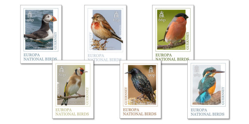 Set of 6 postcards