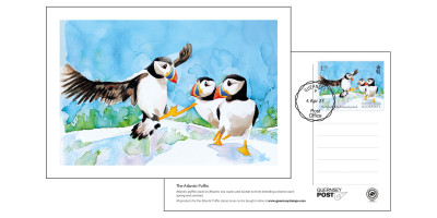 Set of 6 FDI Postcards