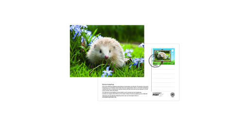 FDI Postcard