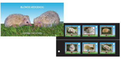 Presentation Pack