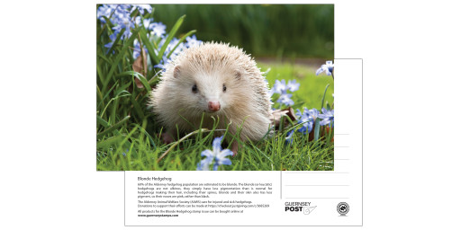 Postcard