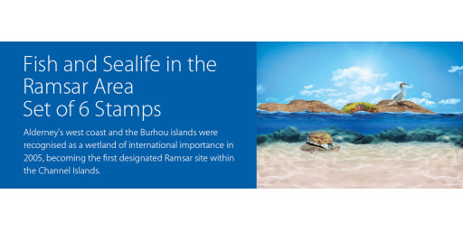 Sealife in the Ramsar Area
