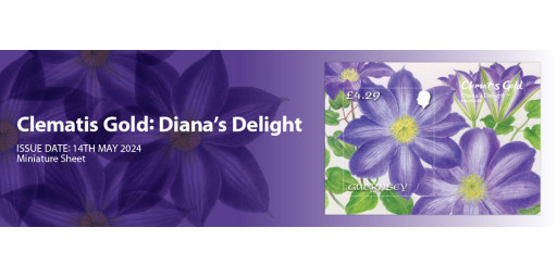 Clematis Gold: Diana's Delight
