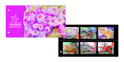 Presentation Pack