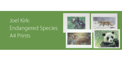 Joel Kirk Endangered Species A4 Prints