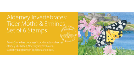 Alderney Invertebrates Tiger Moths & Ermines