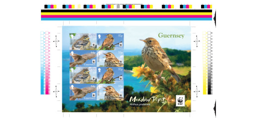 Meadow Pipit Uncut Imperforate Souvenir Sheet of 8