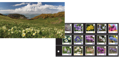 Presentation Pack