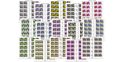 Sheets of 20