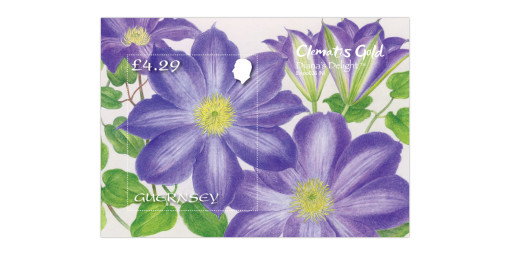 Award-winning Guernsey-grown Clematis depicted on stamp