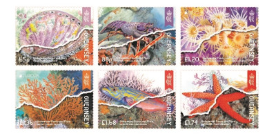 Set of 6 Stamps