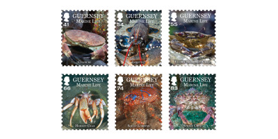Set of 6 Stamps