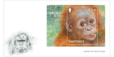 First Day Cover