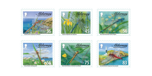 Alderney Dragonflies