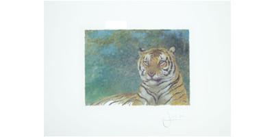 Joel Kirk Print - Bengal Tiger in green leaves