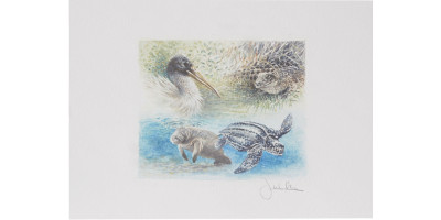 Joel Kirk Print - Florida Everglades