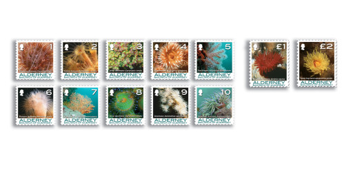 Set of 12 Stamps