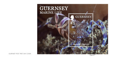Miniature Sheet First Day Cover