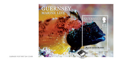 Miniature Sheet First Day Cover