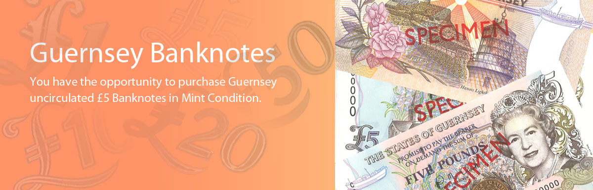 £5 Bank Notes