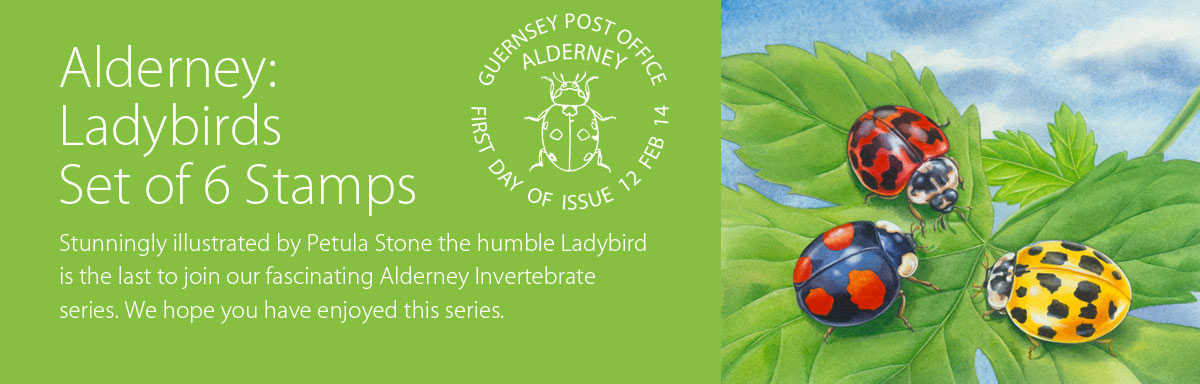 Alderney Ladybirds