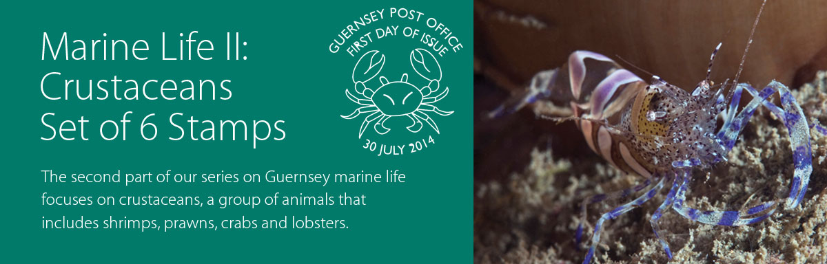 Marine Life II Crustaceans