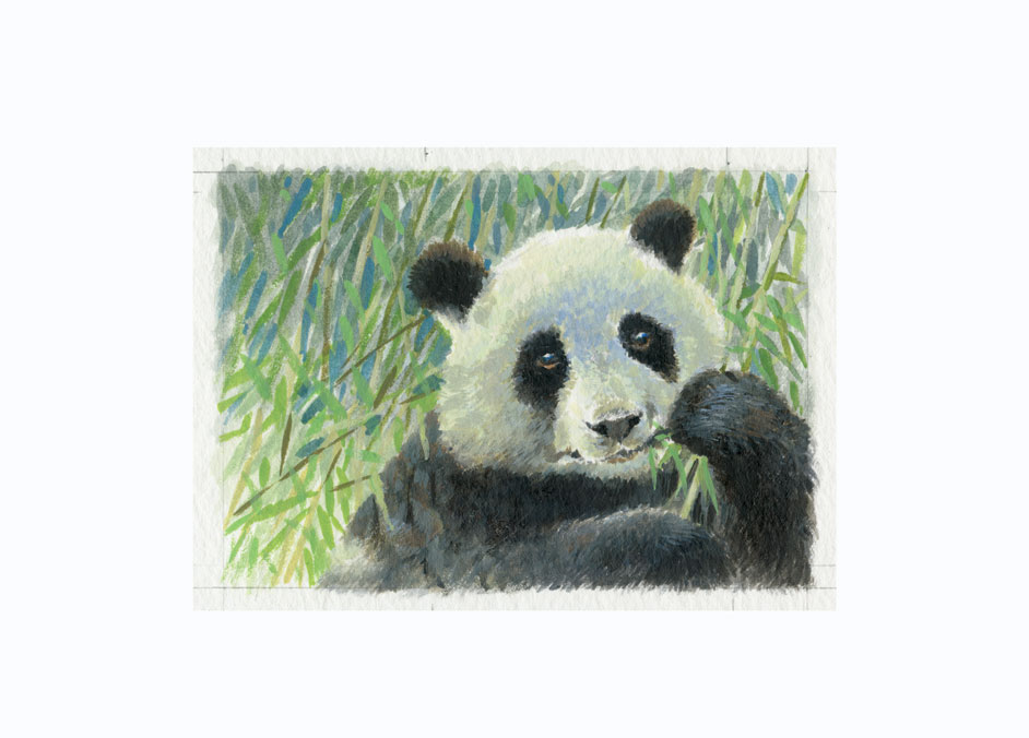 Joel Kirk Print - Giant Panda