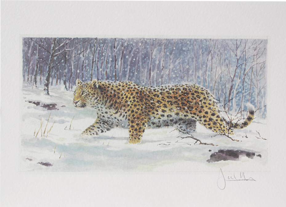 Joel Kirk Print - Amur Leopard
