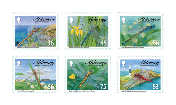 Alderney Dragonflies