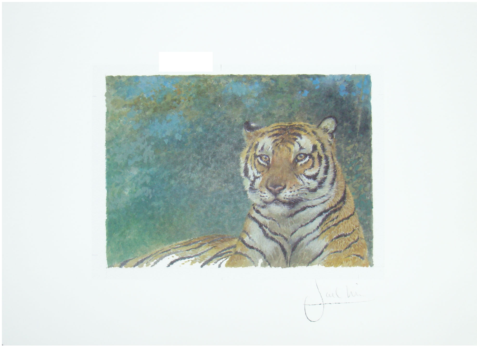 Joel Kirk Print - Bengal Tiger in green leaves