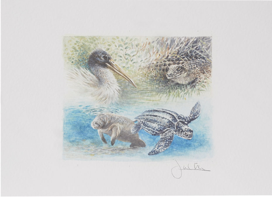 Joel Kirk Print - Florida Everglades