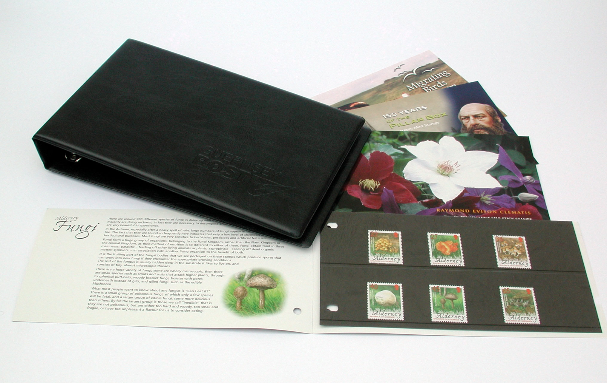 Presentation Pack Binder